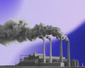 What Does "Carbon Neutral" Actually Mean? And Why It Is About To Change
