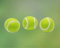 Non-Toxic & Eco-Friendly Dog Toys: A Guide To Safer, Greener Play