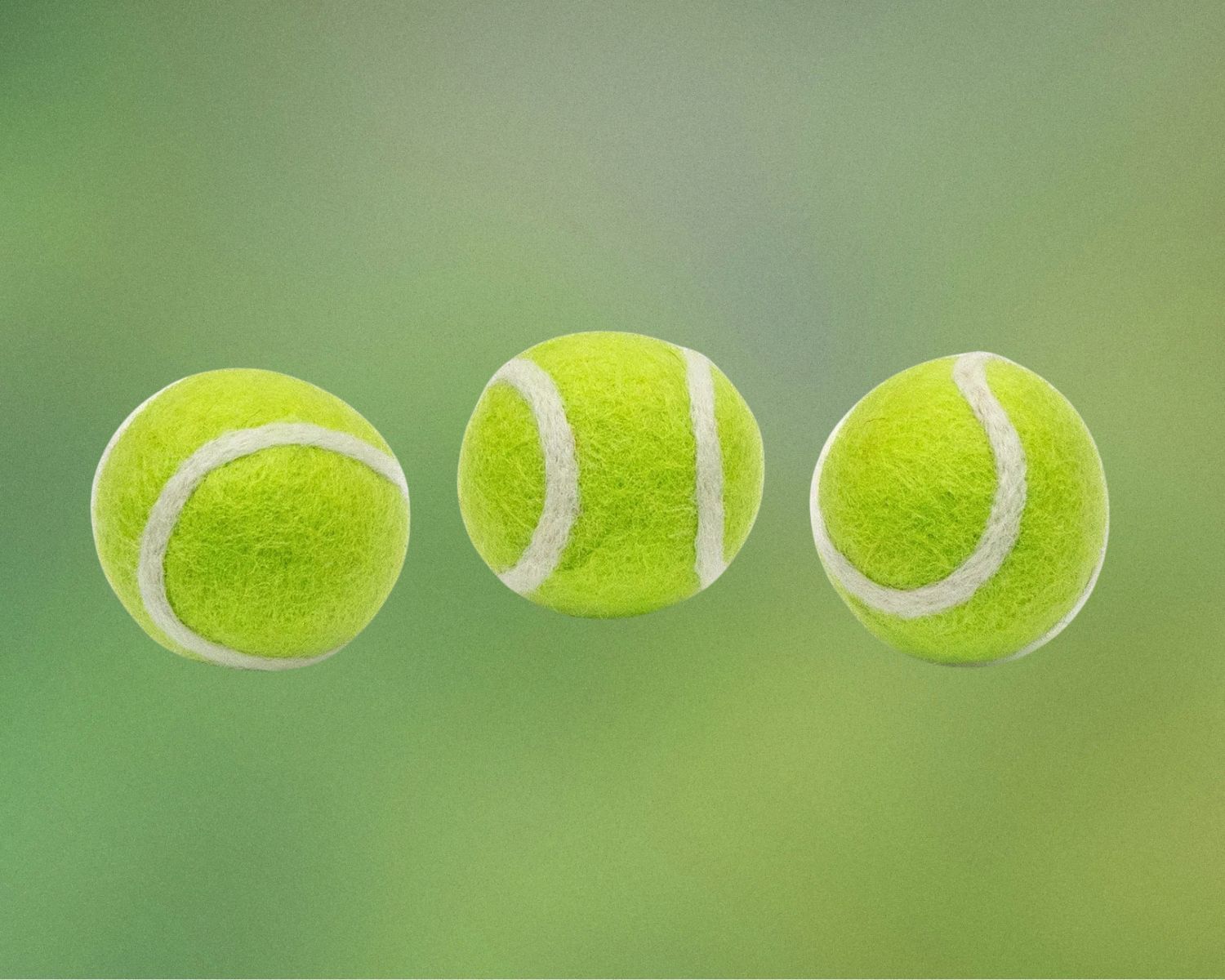 Non-Toxic & Eco-Friendly Dog Toys: A Guide To Safer, Greener Play