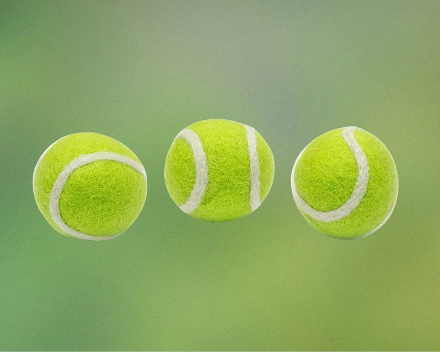 Non-Toxic & Eco-Friendly Dog Toys: A Guide To Safer, Greener Play
