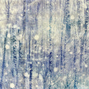 REtissue Travel Sets