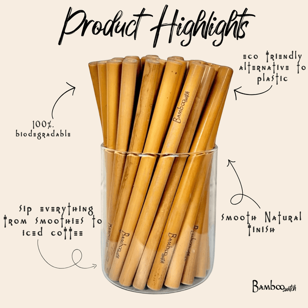 10 Organic Bamboo Straws & Coconut Fiber Straw Cleaner