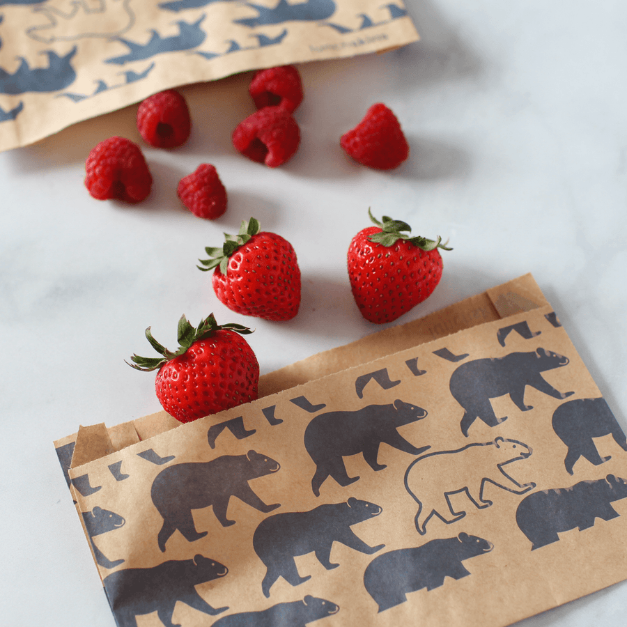 Compostable Paper Snack Bags