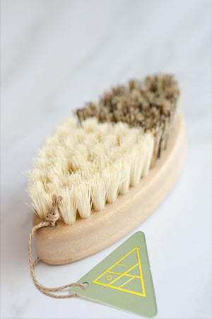 CASA AGAVE® Duo Tone Vegetable Brush | General Cleaning - No Tox Life®