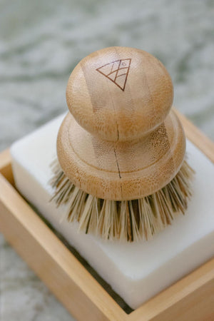 CASA AGAVE® Pot Brush - No Tox Life®