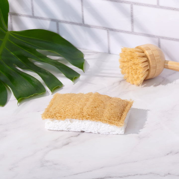 Cellulose Dish Sponge