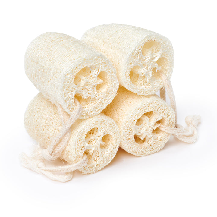 Natural Loofah Exfoliating Slice
