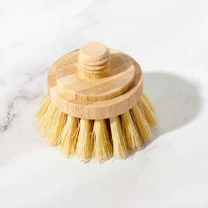 Replacement Head for Bamboo Dish Scrubbing Brush