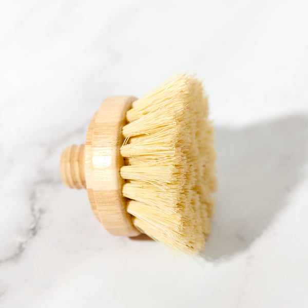 Replacement Head for Bamboo Dish Scrubbing Brush
