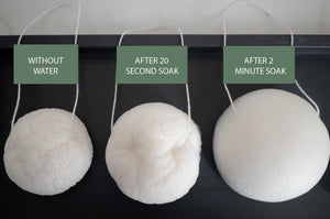 LUNA Facial Sponge - White - No Tox Life®