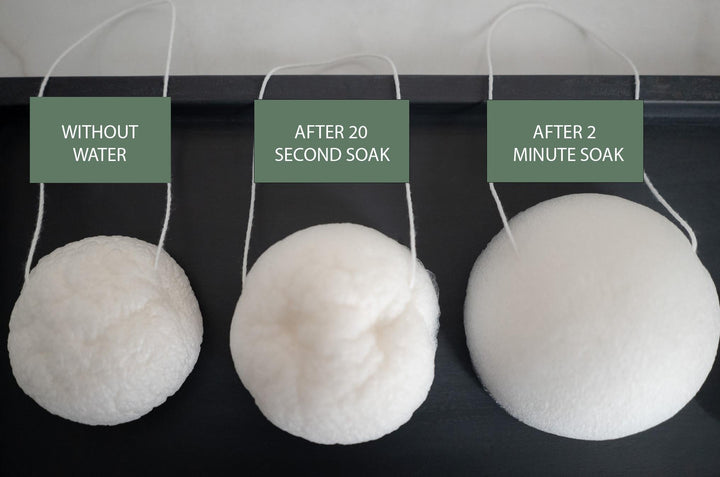 LUNA Facial Sponge - White - No Tox Life®