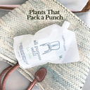 All Purpose Cleaner Refill Pouch and Glass Bottle Set