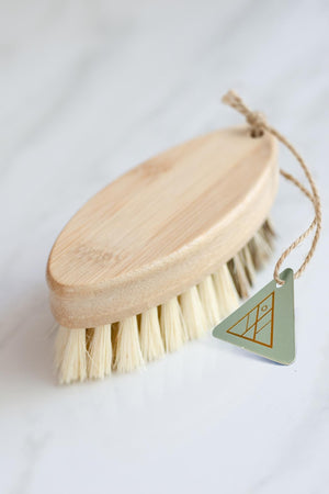CASA AGAVE® Duo Tone Vegetable Brush | General Cleaning - No Tox Life®