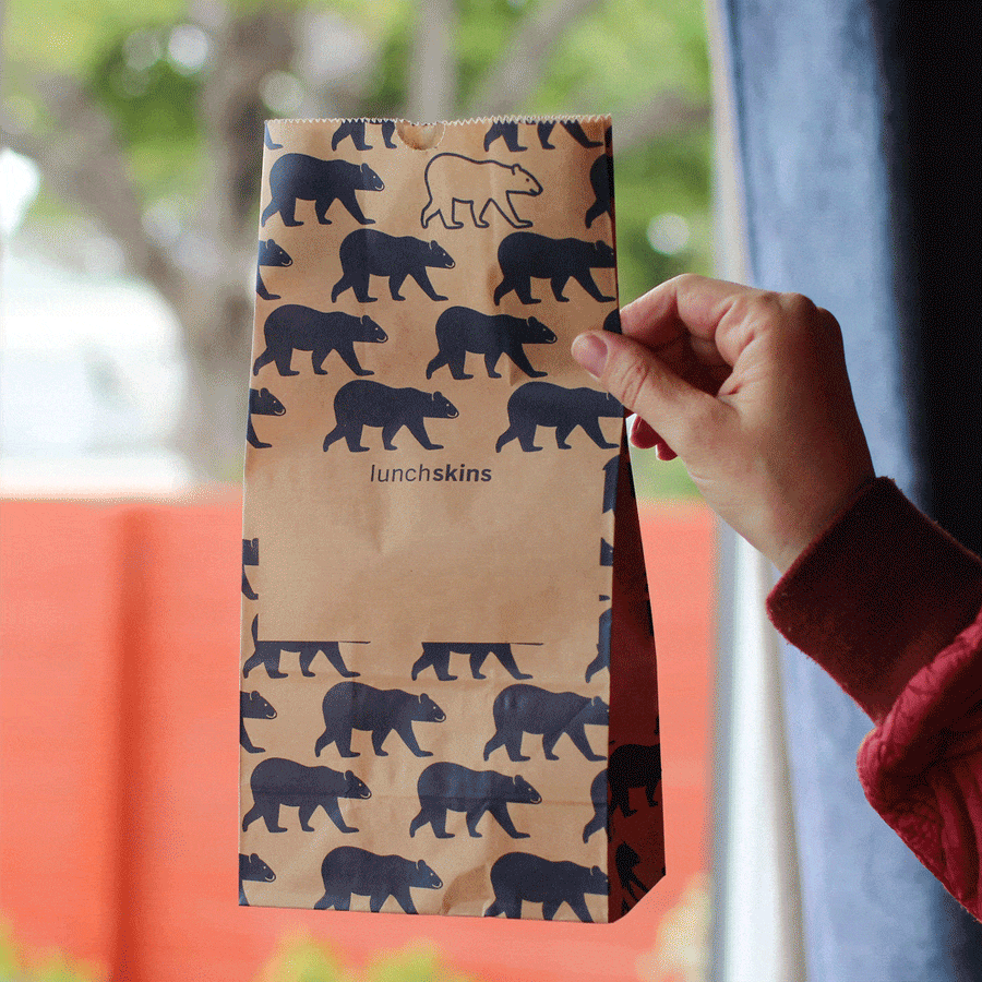 Compostable Paper Lunch Sacs Variety Pack