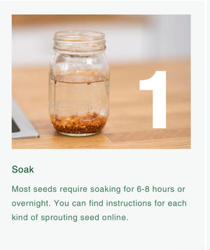Food Huggers Micro Greens Kit