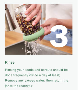 Food Huggers Micro Greens Kit
