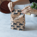 Compostable Paper Lunch Sacs Variety Pack