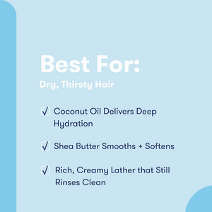 Fragrance-Free Moisturize Shampoo