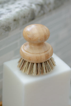 CASA AGAVE® Pot Brush - No Tox Life®