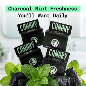 Dental Floss - Charcoal Mint - Plastic-Free and Vegan