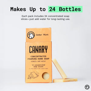 Cedar Mint Concentrated Hand Soap Refill Bars
