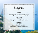 CAPRI • lemon peel & sage Candle