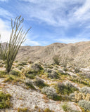 White Sage Essential Oil Candle