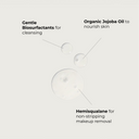 Dream Cleanser 2X Refill