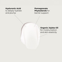 Day & Night Cream 2X Refill