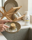 Dish Soap | Lemon & Eucalyptus