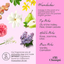 Wunderbar Shampoo Bar: Hydrating, Shine-Boosting Care for Fine to Normal Hair