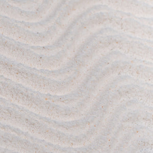 Powder to Foam Face Wash with Willow Bark + Papaya Enzymes