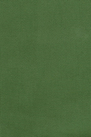 Cinema Pants in Leaf Green