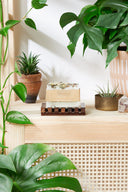 Flower Garden Soap / Organic Soap / Vegan Soap / Handmade Soap / Cold Process Soap