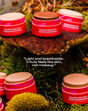 Fungdation - Mushroom Foundation