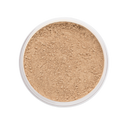 MINERAL POWDER FOUNDATION