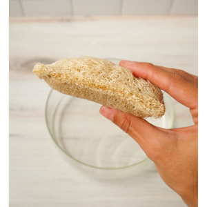 Loofah Dish Sponges