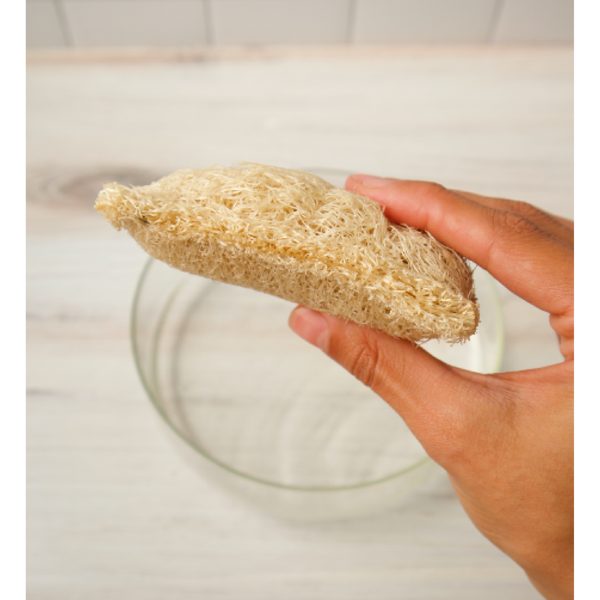 Loofah Dish Sponges
