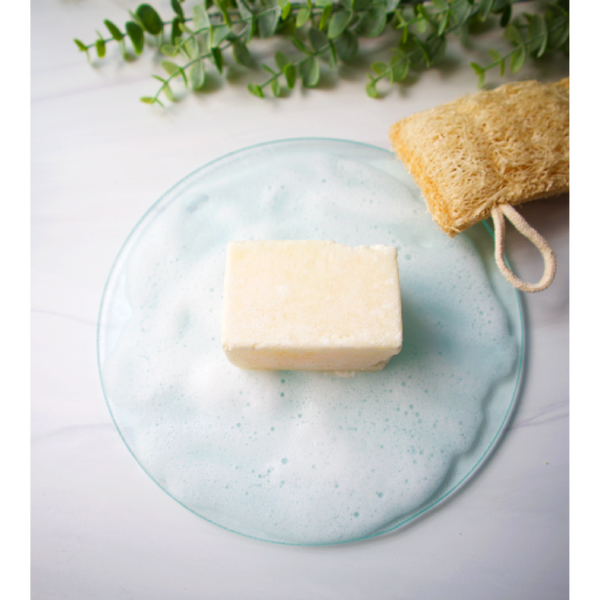 Dish Soap Bar