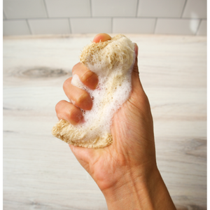 Loofah Dish Sponges