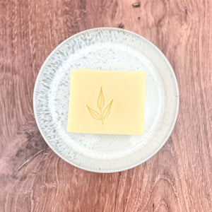 100% Vegan Dishwashing Trio Set