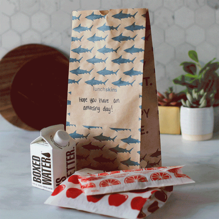 Compostable Large Lunch Sacs