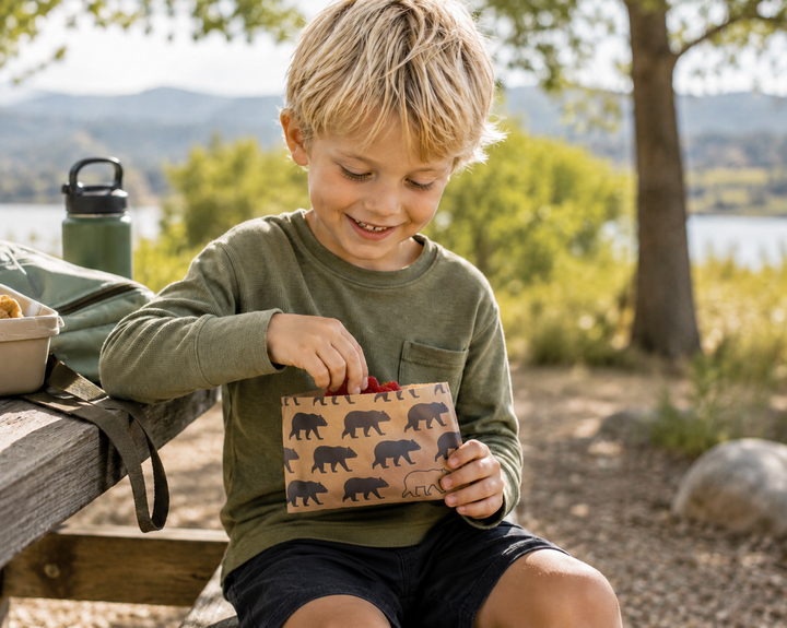 Compostable Paper Snack Bags