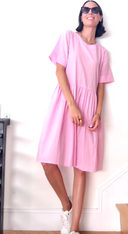 Hudson Dress Tickled Pink