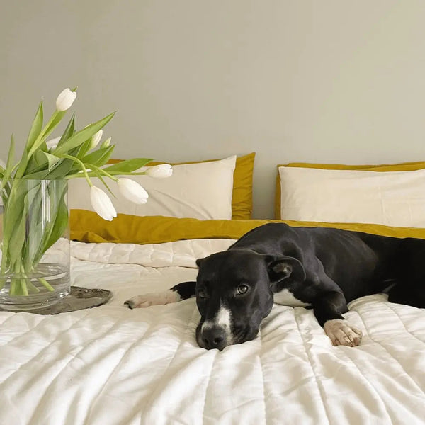 CleanBamboo Hemp™ Linen+ Quilted Coverlet