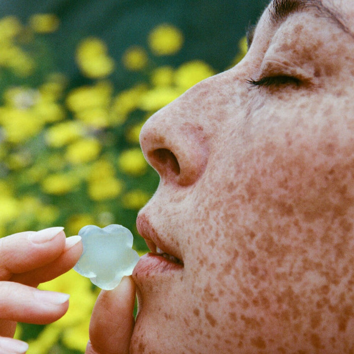 BLOOM DELUXE SAMPLE
