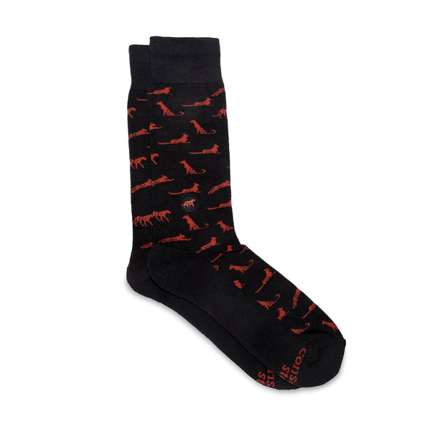 Socks that Protect Cheetahs