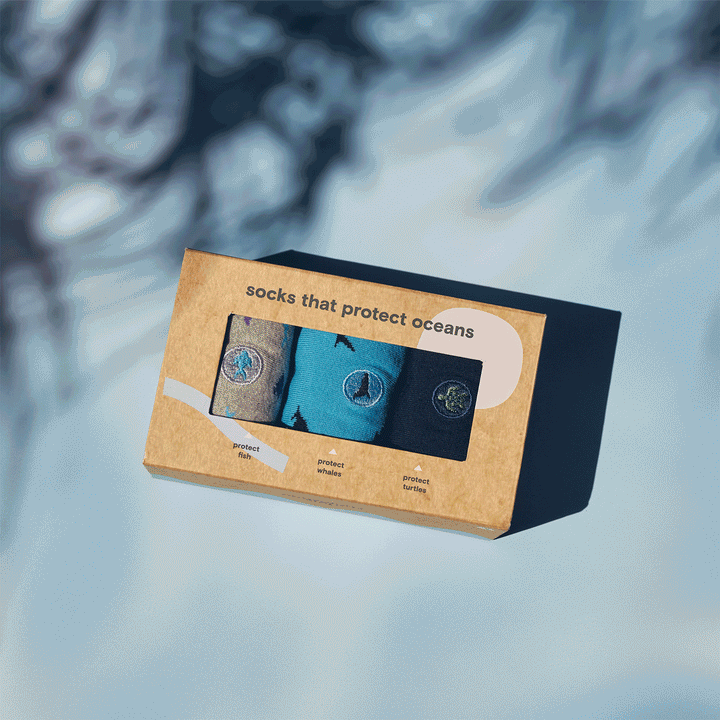 Protect Oceans Gift Box