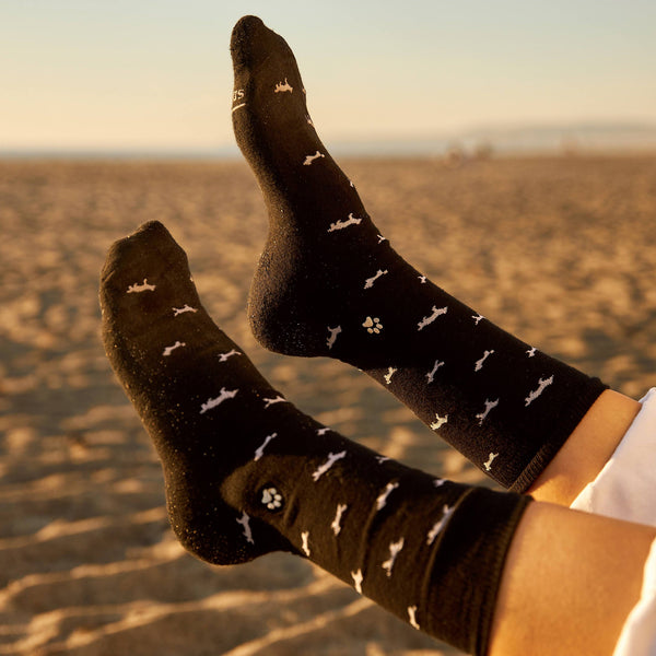 Socks that Save Dogs