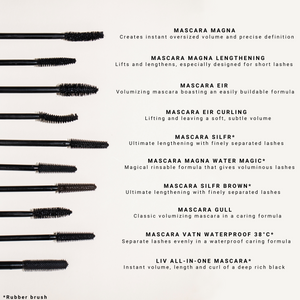 MASCARA EIR